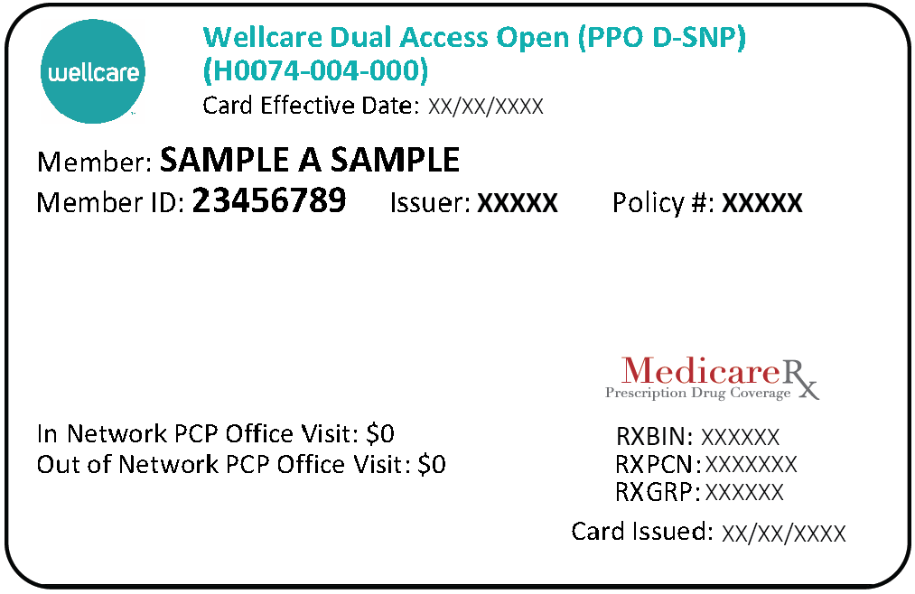 Wellcare Mississippi member card with logo and sample information